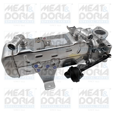 EGR Module